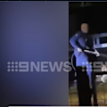 A man has been injured after he was mauled by two dogs at a park in Brisbane’s north.