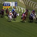 A look at how Half Yours and Ohope Wins fell on the track during last Saturday's race. Ohope Wins was euthanised after sustaining serious injuries in the fall.