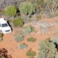 Police believe they have found the body of alleged triple murderer, Julian Ingram, in dense bushland between Mount Hope and Euabolong.