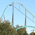 A man has died after falling from a rollercoaster at a major US theme park.