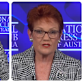 One Nation leader Pauline Hanson called global warming and climate change a 