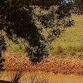 A woman and a 10-year-old girl have been found dead inside a sunken car on Queensland’s Fraser Coast.