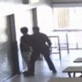 Border Force authorities have arrested two alleged people smugglers at a bakery in Far North Queensland, hours after a group of asylum seekers landed ashore.