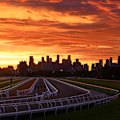 Chief racing writer Danny Russell shares his tips for this year's Cox Plate.