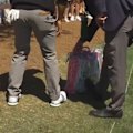 Xander Schauffele's tee shot on the eighth landed in a fan's massive merchandise bag, saving him a shot out of the pine straw during the first round of the Masters.