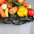 Food everywhere and not a bite to eat: Countries are coming to grips with food waste.