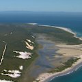 Final testing is under way after a dead petrel washed up on Moreton Island returned a suspected positive result for H5 bird flu.