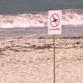 A man has died after a shark attack off a popular Perth beach.