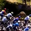 A kangaroos hops out in front of cyclists during the Tour Down Under.