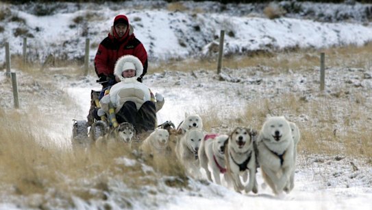 Huskies pulling a sleigh. 