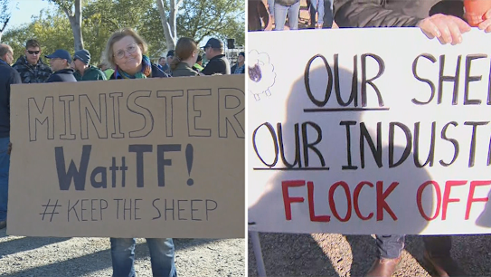 Thousands of farmers and truck drivers descended on the Wheatbelt for the parliamentary hearing into the live sheep export ban.