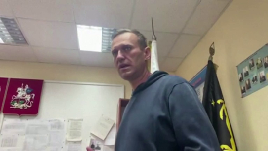 A Russian judge has ruled that Kremlin critic Alexei Navalny should be held in custody for 30 days until February 15, his spokeswoman said. The verdict comes just a day after he was detained upon his arrival in Moscow.