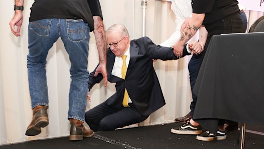 Anthony Albanese has fallen off the back of a stage as he was moving to pose for a photo in the Hunter Valley.
