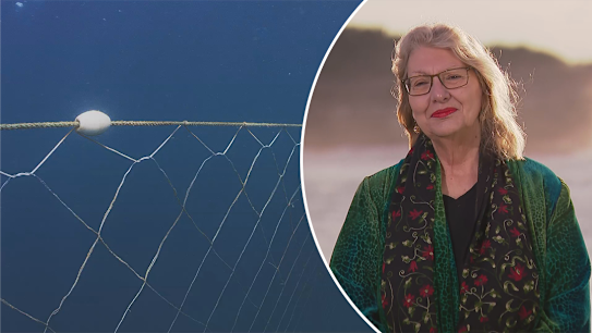 Waverley Mayor Paula Masselos is speaking out against the decision to re-install shark nets at NSW beaches.