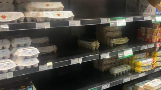 Woolworths has introduced a purchase limit on eggs amid the country’s bird flu outbreak.	
