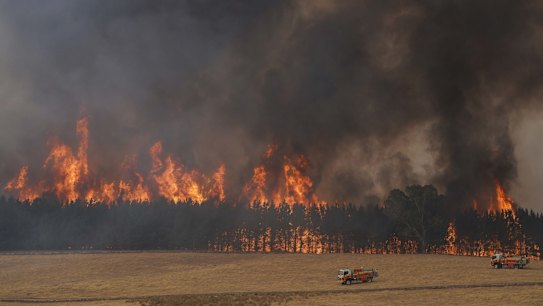 A forrest fire in between Tooma and Tumbarumba, NSW. 10 January 2020.