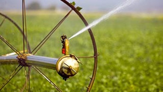 Barnaby Joyce's department paid 'tens of millions' too much for water