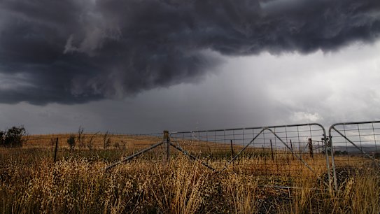Crop exports to wilt as autumn rains fail over much of Australia