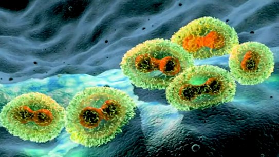 The United States has declared a public health emergency over the monkeypox outbreak.