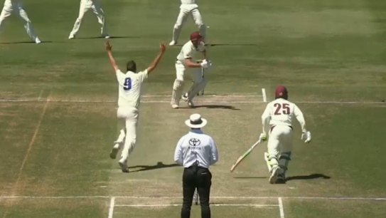 Pucovski and Harris make Sheffield Shield cricket history.