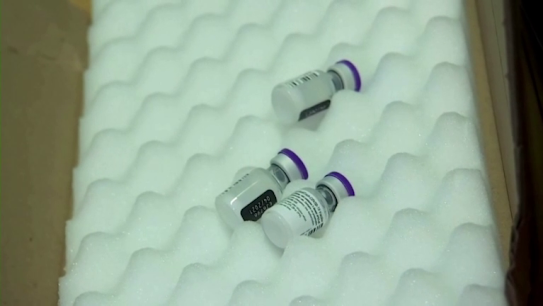 The COVID-19 vaccine developed by Pfizer and BioNTech is likely to protect against a more infectious variant of the virus, which was discovered in Britain and has spread around the world, according to results of further lab tests.