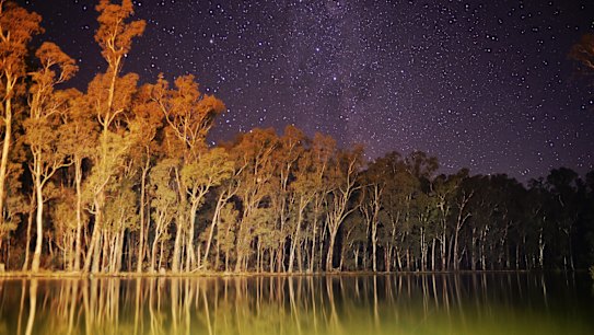 Partial recovery of key Murray-Darling Basin sites stirs debate