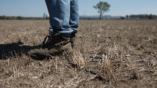 Sydney soaked as NSW posts driest start to any year since 1986