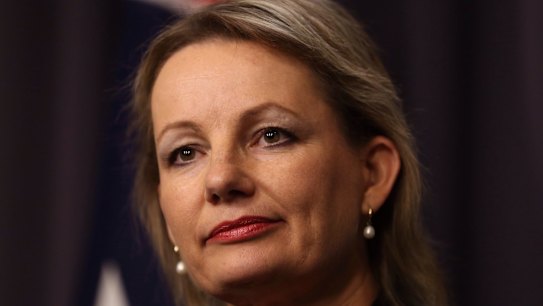 Sport  Minister Sussan Ley said it was ''inappropriate to be talking about putting more taxpayers' funds into a rebid when we have serious allegations about corruption unfolding''.