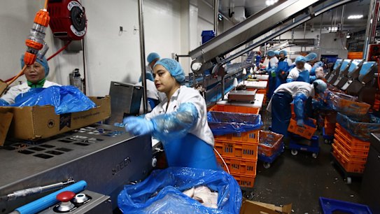 M&J Chickens in Marrickville. Established 35 years ago, the business employs about 130 people in its Marrickville factories. 