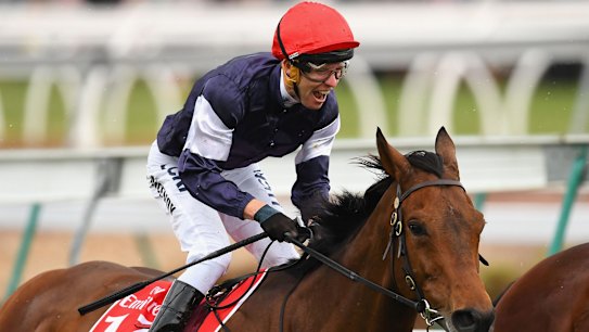 Punter's pal: Kerrin McEvoy riding Almandin to victory.