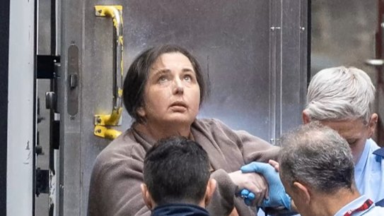 The Supreme Court has published the grounds for mushroom murderer Erin Patterson's appeal.