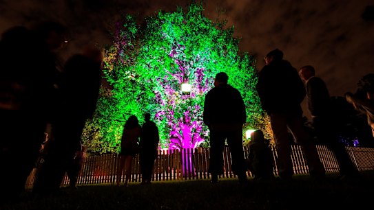 Melbournians enjoy the Point to the Possum exhibition during White Night Melbourne.