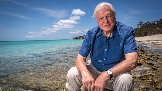 Sir David Attenborough turns 100 years old on 8 May. This is a look at his groundbreaking career.