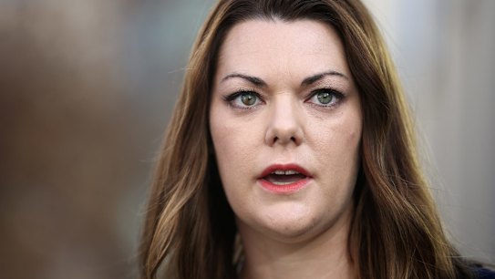 'Stop shagging men': Sarah Hanson-Young accuses David Leyonhjelm of sexist slur