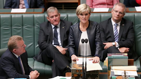 Foreign Minister Julie Bishop says she has considered flying to Jakarka to make a personal plea for the two men, but has been warned such a move "could precipitate an unfavourable outcome".