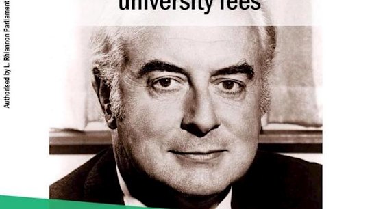 This image, distributed by the Greens, has upset Labor.