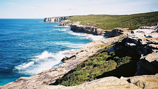 Sydney's Royal National Park was promoted as a possible World Heritage site.