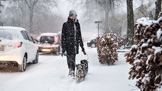 Arctic heat spasm caused by stratosphere warming has a southern cousin