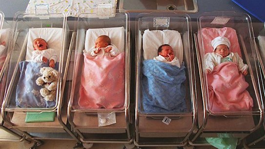 Healthcare 'not befitting of nation's capital': opposition