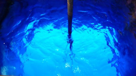 Great Barrier Reef's five near-death experiences revealed in new paper