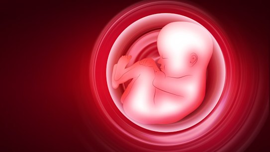 Scientists have genetically modified a human embryo for the first time.