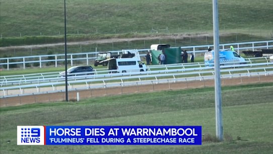 Fulmineus, an 11-year-old gelding, has become the seventh horse since 2016 to die at the Warrnambool jumps carnival