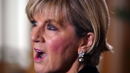 Julie Bishop rejects Dutton's call for 'special treatment' of South African farmers