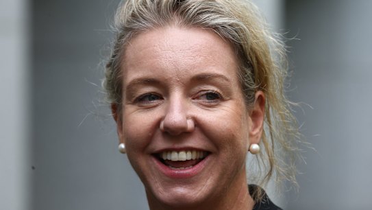 Barnaby Joyce's deputy Bridget McKenzie breaks silence on affair fallout