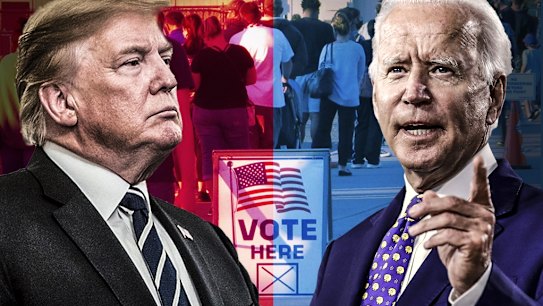 trump biden homepage image for Catherine Chisholm