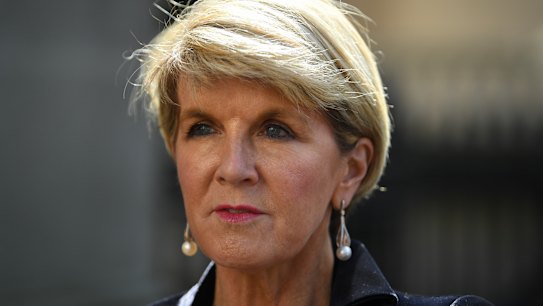 Julie Bishop hits back at 'ignorant and ill-informed' criticism by former ambassador