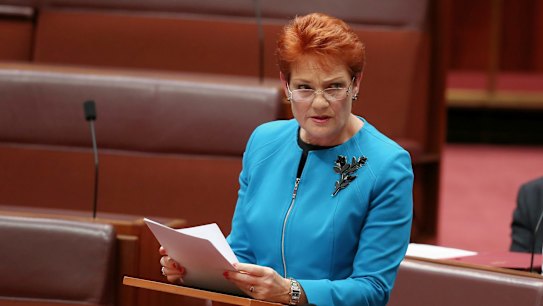 In her first speech in the Senate last week, Pauline Hanson said Australia was in danger of being "swamped" by Muslims.