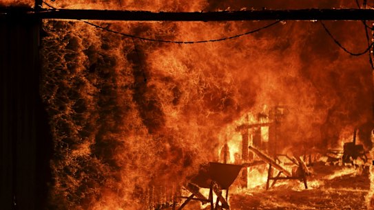 A horse stable burns as a bushfire burning south of Canberra threatens communities in Bumbalong and the region, on Saturday 1 February 2020. fedpol Photo: Alex Ellinghausen