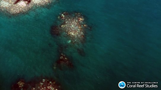 Coral bleaching in the Great Barrier Reef in 2016 was the worst on record.