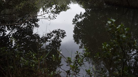 Increased access to the waterwaters may put parts of Deepwater Park near Milperra at risk.